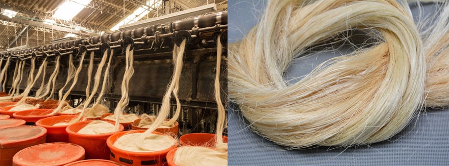 Nanofique utiliza fibra de sisal para extrair 99% dos corantes químicos tóxicos da água stylo urbano-1