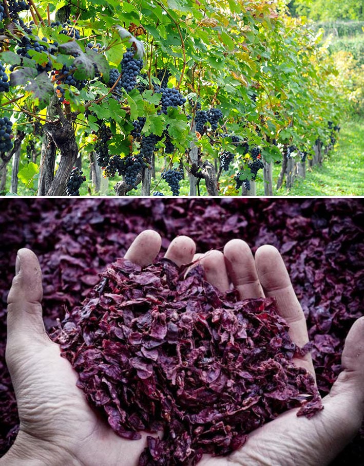 Vegea: o inovador e sustentável laminado vegetal derivado dos resíduos do vinho stylo urbano-1