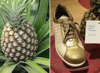 Piñatex – O laminado ecológico feito das folhas de abacaxi descartadas