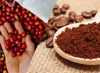 Conheça as empresas que reciclam os resíduos de café nos mais fantásticos produtos