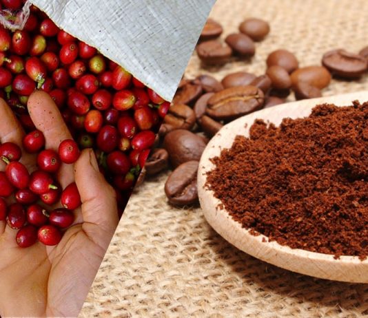Conheça as empresas que reciclam os resíduos de café nos mais fantásticos produtos