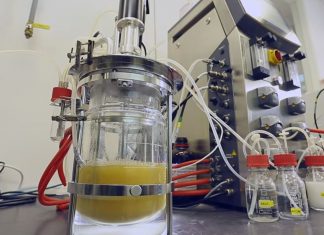 Cientistas conseguem transformar desperdício de alimentos em tecidos para moda
