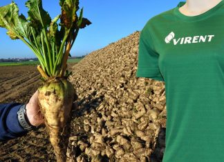 Virent cria novo poliéster sustentável 100% à base de beterraba para roupas e tecidos