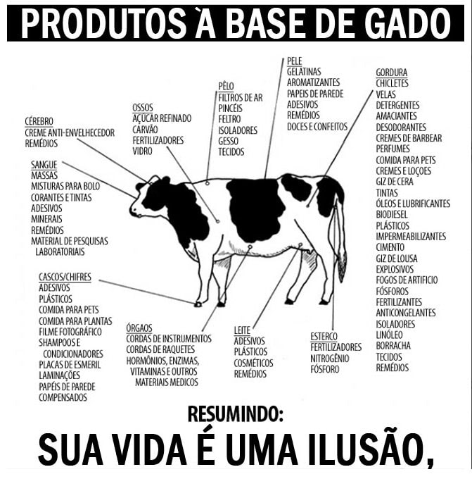 produtos-a-base-de-gado-min