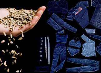 EVO, nova fibra sustentável de alta tecnologia feita 100% de semente de mamona