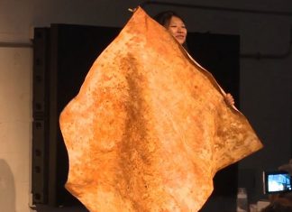 O futuro da biofabricação : MycoWorks utiliza cogumelos para produzir material sustentável