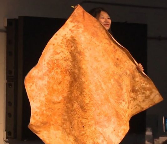 O futuro da biofabricação : MycoWorks utiliza cogumelos para produzir material sustentável