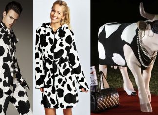 Vaca, o “animal sagrado” da moda sustentável