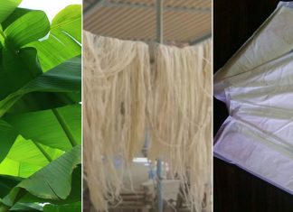 Empresa cria absorventes com fibra de bananeira que são biodegradáveis e compostáveis