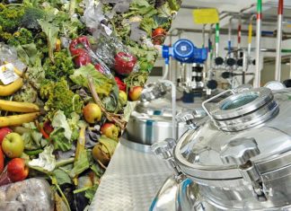 Projetos sustentáveis de economia circular transformam o desperdício de alimentos em novos produtos