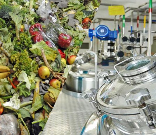 Projetos sustentáveis de economia circular transformam o desperdício de alimentos em novos produtos