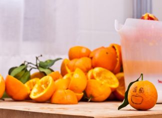 Pesquisadores utilizam casca de laranja para fazer tecidos, plásticos e purificar água poluída