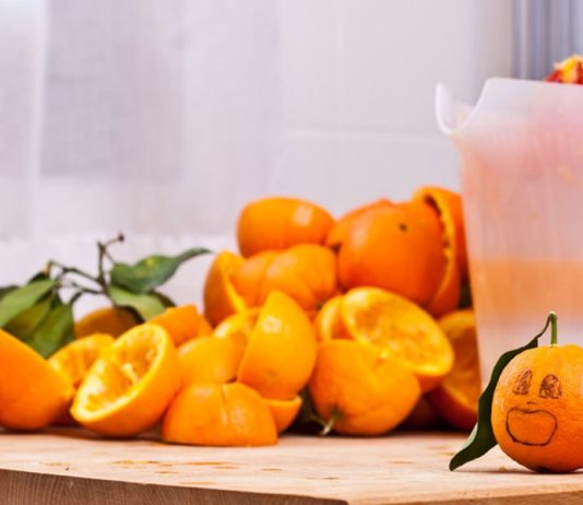 Pesquisadores utilizam casca de laranja para fazer tecidos, plásticos e purificar água poluída