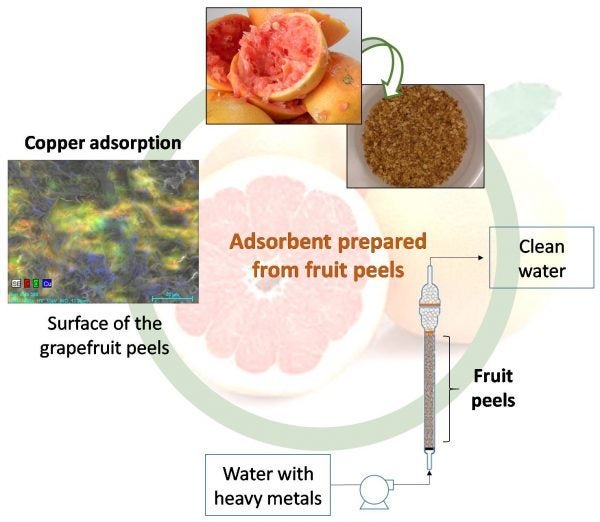 Pesquisadores utilizam casca de laranja para fazer tecidos, plásticos e purificar água poluída stylo urbano-2