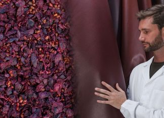 Vegea: o inovador e sustentável laminado vegetal derivado dos resíduos do vinho