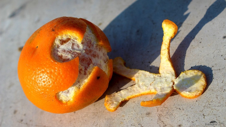 Pesquisadores utilizam casca de laranja para fazer tecidos, plásticos e purificar água poluída stylo urbano-1