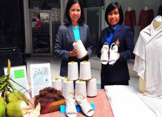 Pesquisadoras tailandesas transformam a fibra de coco verde em tecidos funcionais