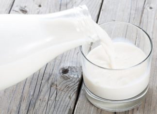 Tecido de leite poderia resolver o problema do desperdício de laticínios