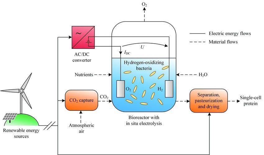 Cientistas produzem comida a partir da eletricidade para aliviar a fome no mundo stylo urbano