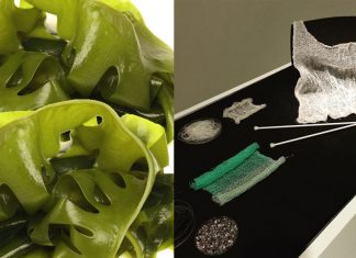 O projeto Algiknit desenvolve fios têxteis biodegradáveis feitos de algas