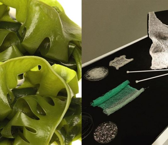 O projeto Algiknit desenvolve fios têxteis biodegradáveis feitos de algas