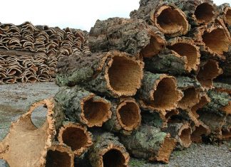 Cortiça, a casca da árvore do sobreiro, é um material fantástico para moda