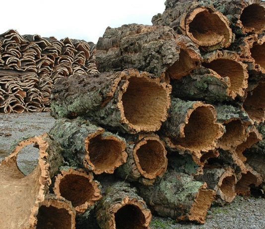 Cortiça, a casca da árvore do sobreiro, é um material fantástico para moda