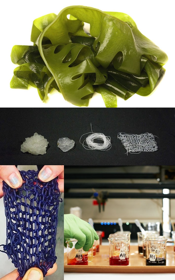 O projeto Algiknit pretende criar fios têxteis biodegradáveis feitos de algas stylo urbano