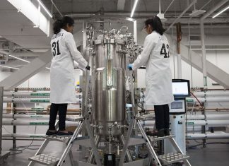 Como a biotecnologia está moldando o futuro da moda sustentável