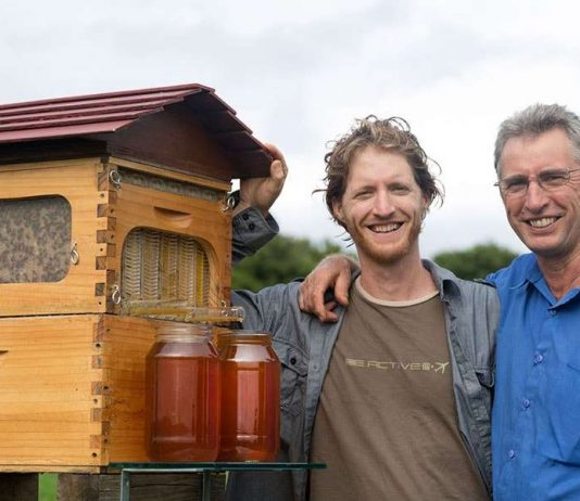 Pai e filho inventaram uma nova colmeia de abelhas que faturou US$ 12,2 milhões em oito semanas