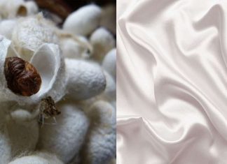 MIT desenvolve fibra de seda regenerada mais forte e barata que a natural