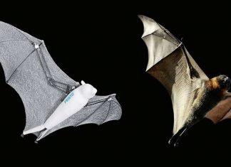 Festo se inspira no design da natureza para criar animais robóticos