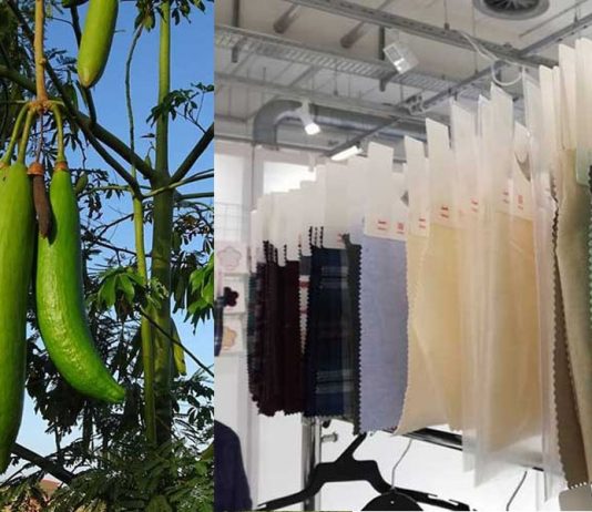 Inovações em tecidos sustentáveis: fibra de sumaúma