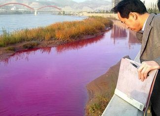 Colorifix cria o tingimento têxtil mais sustentável do mundo com biologia sintética