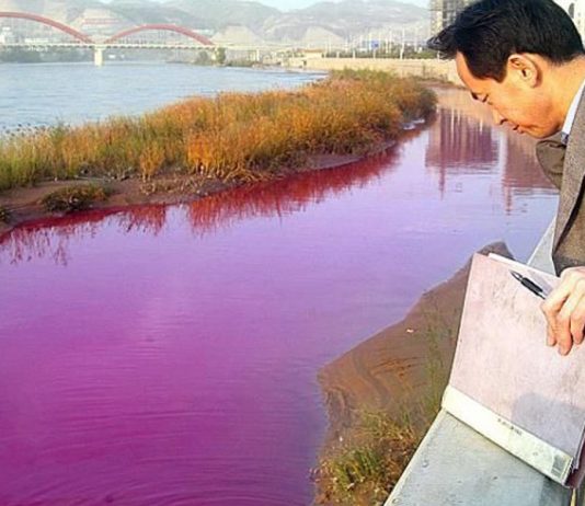 Colorifix cria o tingimento têxtil mais sustentável do mundo com biologia sintética