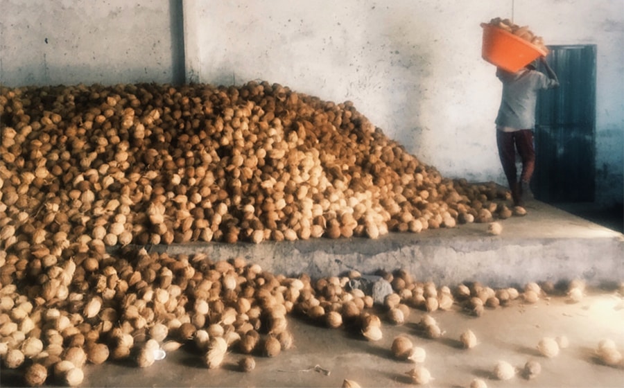 Malai, novo "couro vegano" feito de fibra de bananeira e água de coco stylo urbano-2