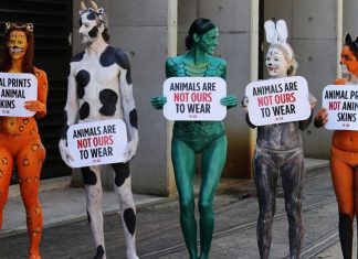 PETA mata animais, mas não quer que você saiba!