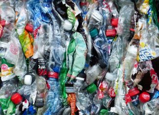 Do lixo ao recurso: Unilever e Ioniqa revolucionam a reciclagem de plásticos PET coloridos