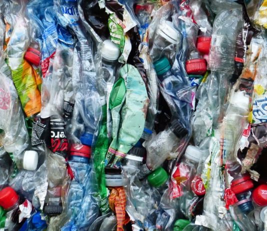 Do lixo ao recurso: Unilever e Ioniqa revolucionam a reciclagem de plásticos PET coloridos