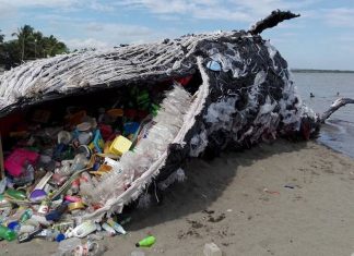 90% do plástico poluindo nossos oceanos vem de apenas 10 rios