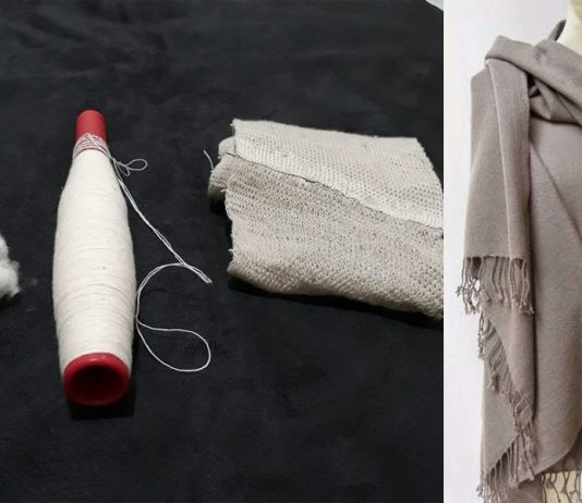 Cashmere mais fina do mundo é produzida com pelo de cabras brasileiras