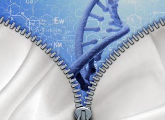 Roupas Geneticamente Projetadas – A Ética da Biologia Sintética na Moda