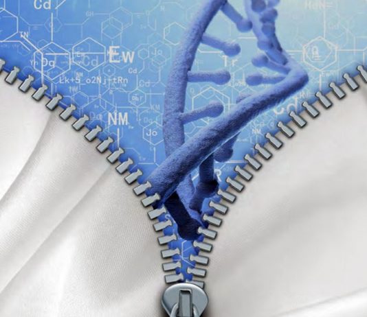 Roupas Geneticamente Projetadas – A Ética da Biologia Sintética na Moda