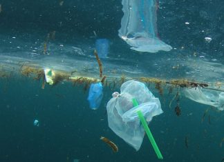 União Europeia aprova proibição de plásticos de uso único a partir de 2021