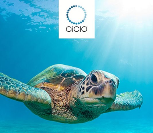 Tecnologia têxtil CiCLO permite que materiais sintéticos sejam biodegradados como materiais naturais