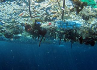 Cientistas descobriram centenas de microplásticos em fezes humanas