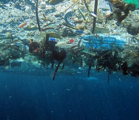 Cientistas descobriram centenas de microplásticos em fezes humanas