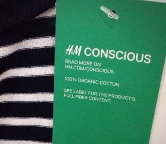 Grupo H & M é o principal usuário de algodão sustentável do mundo