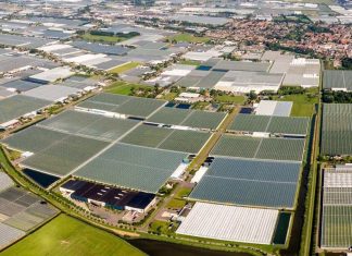 Holanda se tornou o segundo maior exportador de alimentos do mundo com ajuda de estufas