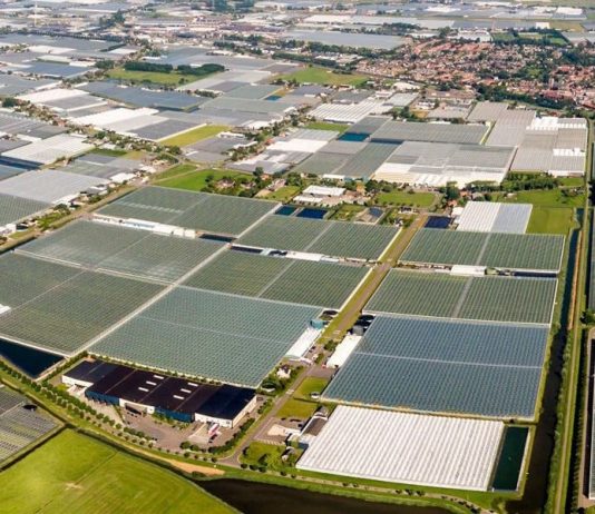 Holanda se tornou o segundo maior exportador de alimentos do mundo com ajuda de estufas